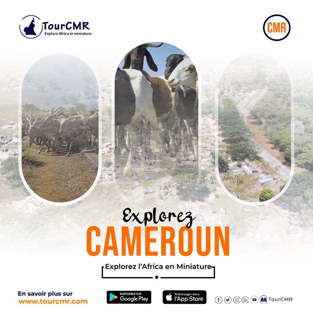 TourCmrApp's tweet photo. Life is short and the world is wide so it's good to always say yes to new adventures.
Use #TourCMR as your travel guide to exploring Cameroon.
iOS
https://t.co/9UYog52Jdi
Android
https://t.co/x2v7x6IS6U
#TourCMR #MINTOUL #TravelToCameroon #ExploreAfricaInMiniature https://t.co/eGNfKAM67K