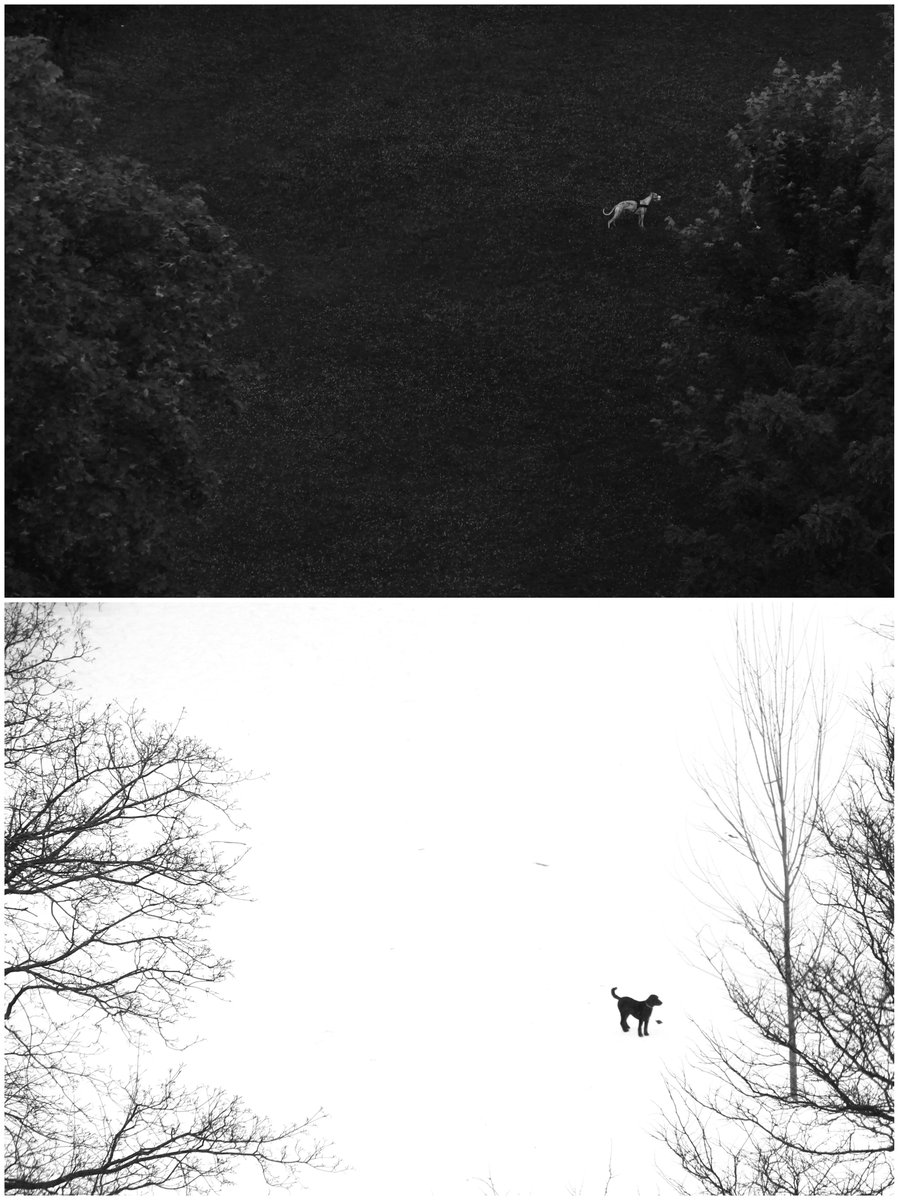 'PARKLIFE' - 
opensea.io/collection/par…