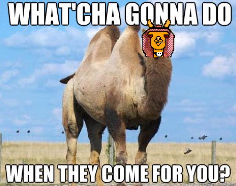 <a href="/donthekiwiwhale/">thekiwiwhale🐋</a> <a href="/VoyagerCamel/">Voyager Camel Club | NEW OWNERS</a>