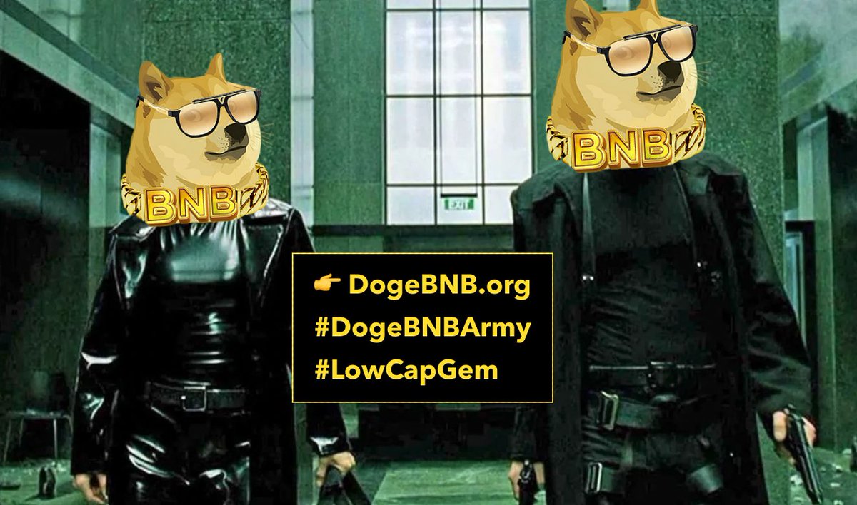 master24_doge's tweet photo. @1goonrich DogeBNB  @dogebnborg bro https://t.co/L9E9kMP0qR