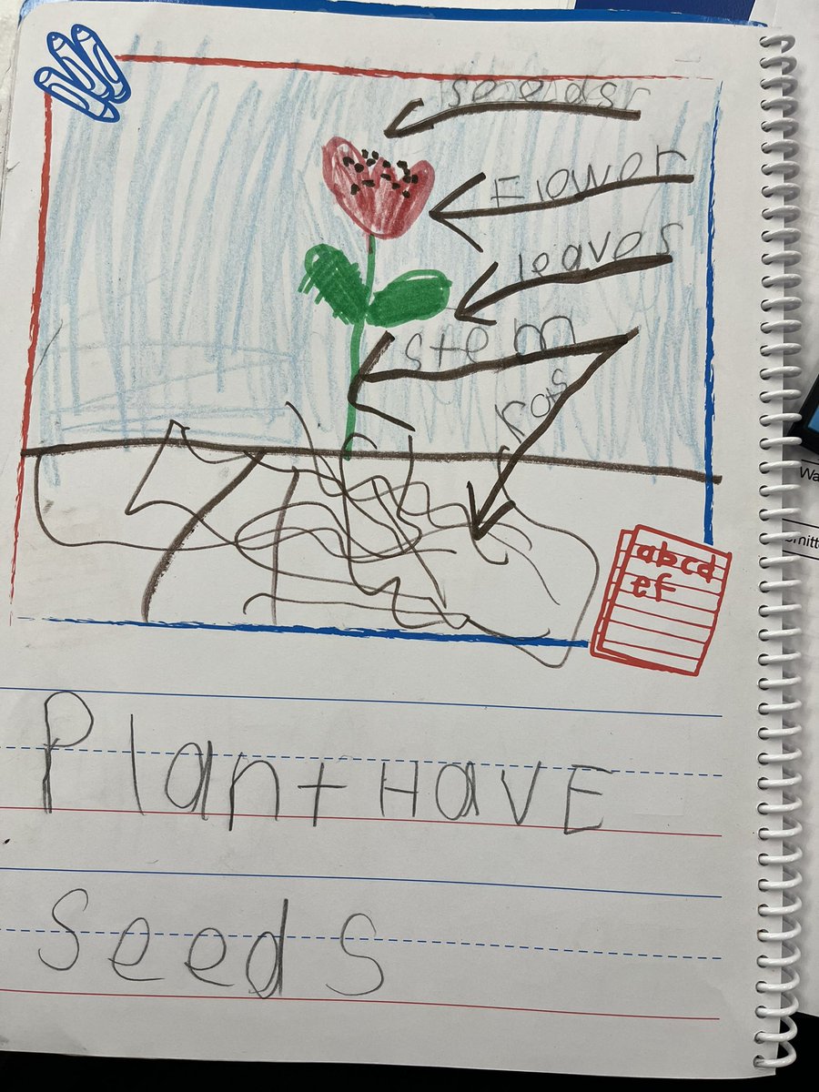 Aolani Evelyn tweet media