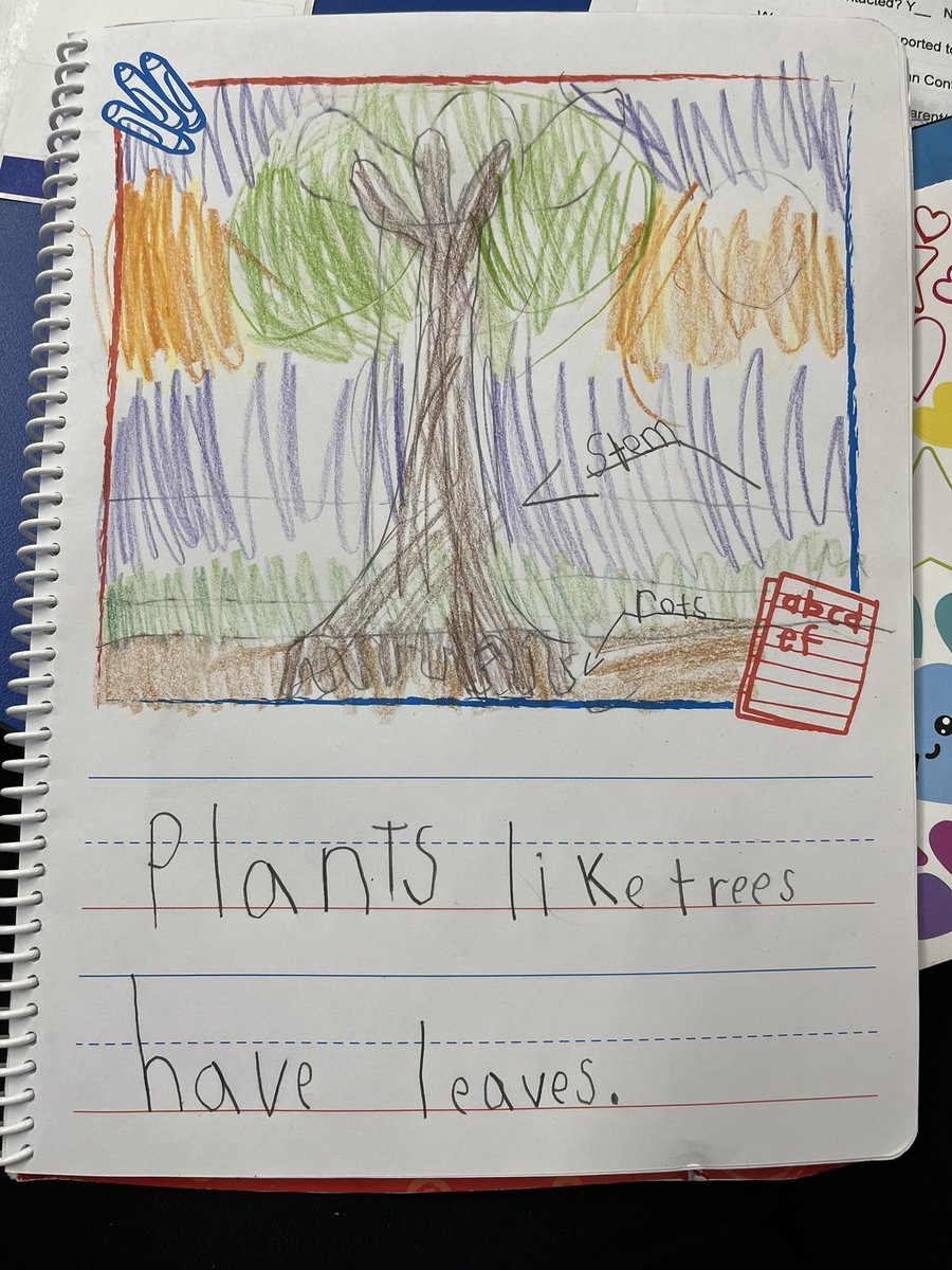 Aolani Evelyn tweet media