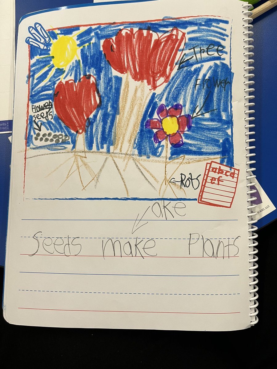 Aolani Evelyn tweet media