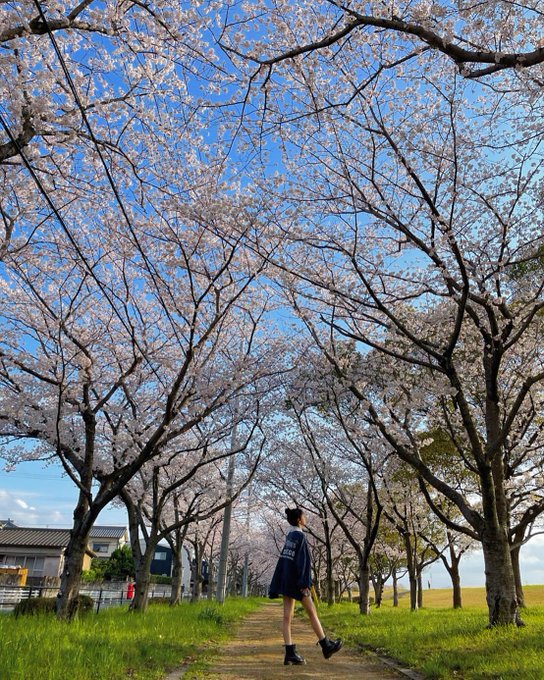 白石花恋のTwitter画像1