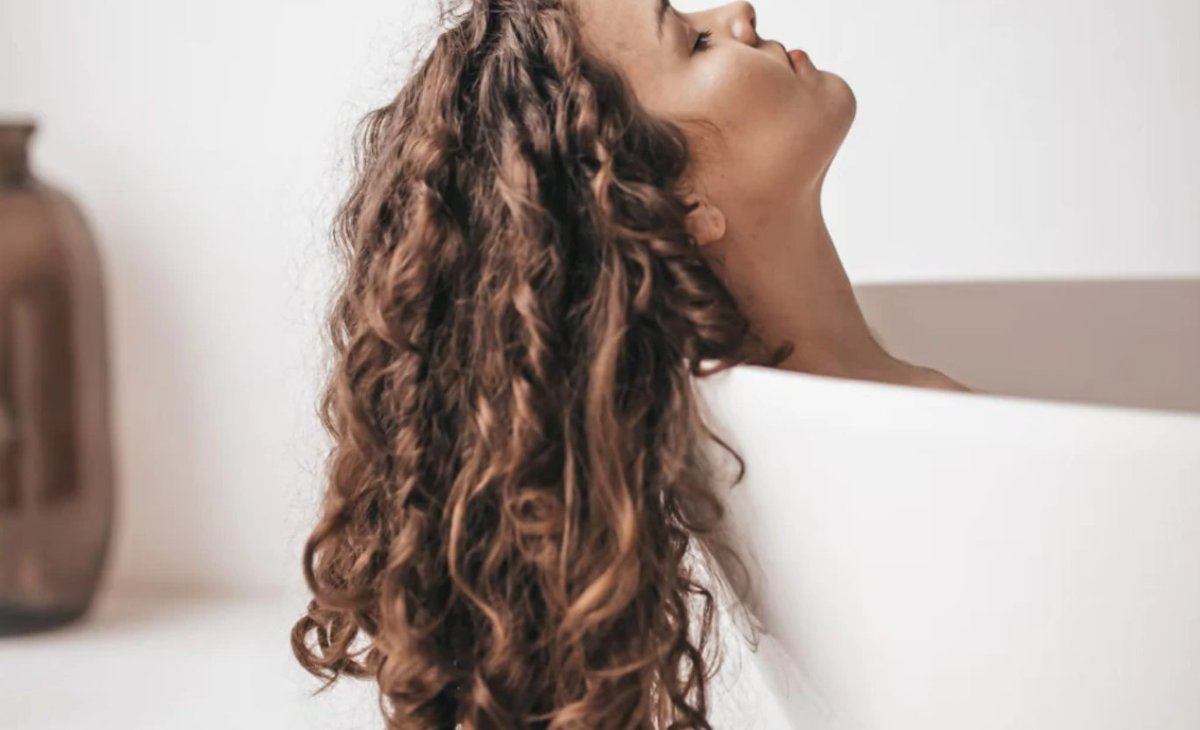 SCENTERED tweet media