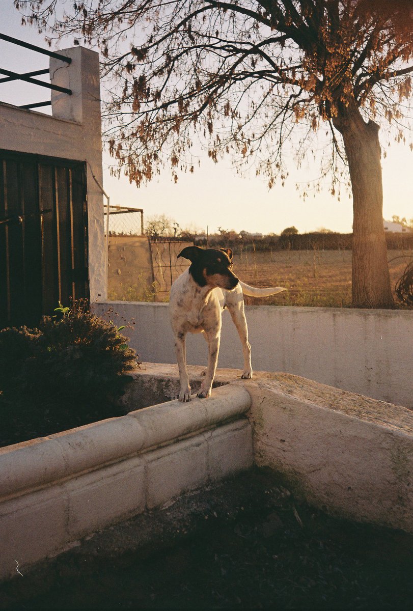 LivingBarba's tweet photo. Ya me han llegado los scans del primer carrete con la Olympus MJU-1 https://t.co/Go1b2wy1Si