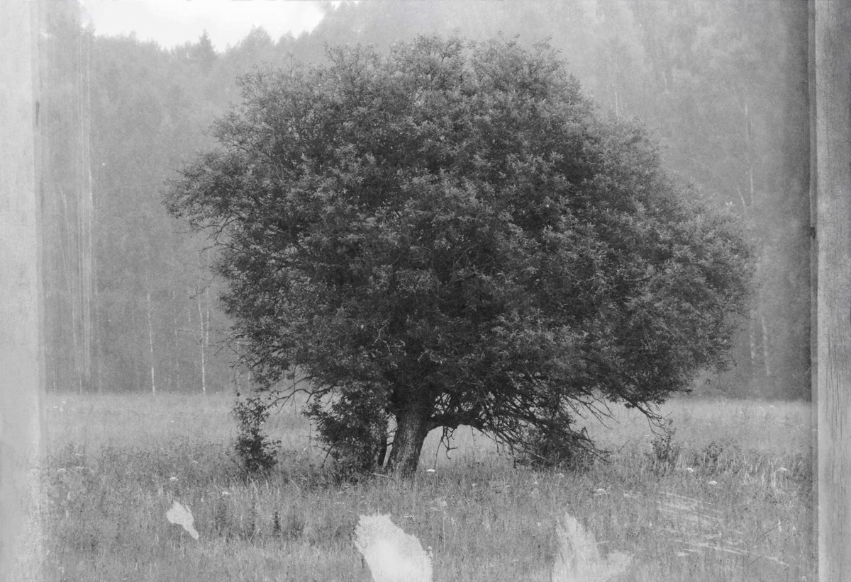 New drop on <a href="/objktcom/">objkt</a> ✨

"Detachment"
2.5 $XTZ (10/12)

objkt.com/asset/hicetnun…