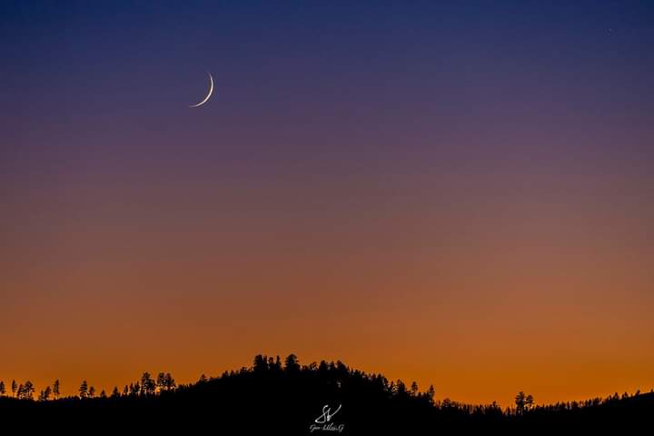 ...Сайхныг харж өссөн хүн
    Муухайтай эвлэрч чаддаггүй...
гэх
Сайхан амарцгаагаарай!