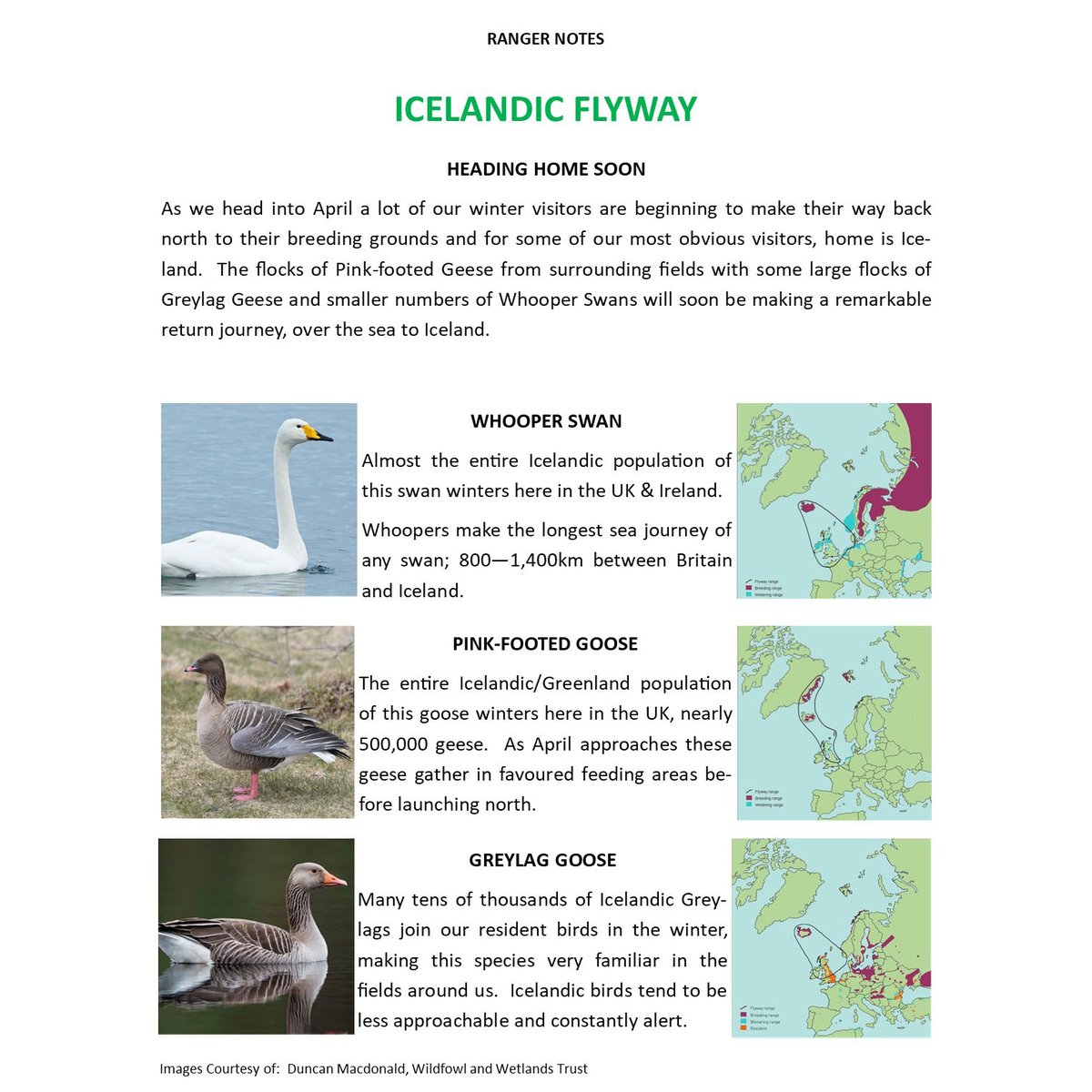 Carrbridge Nature tweet media