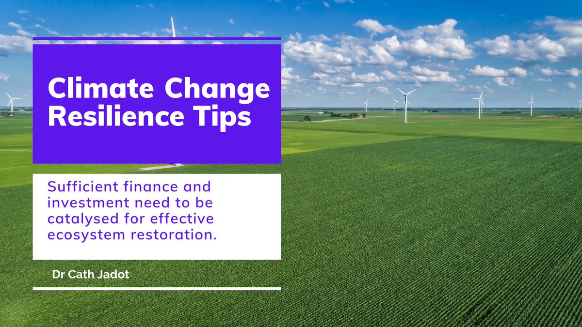 1DrCath's tweet photo. Climate Change Resilience Tips:

Sufficient finance and investment need to be catalysed for effective ecosystem restoration.
.
.
.
#climatechangetips #climateresiliencetips #biodiversitytips #climatecrisis #climateaction #adaptation #coastalenvironment https://t.co/qeLZs4VFa5