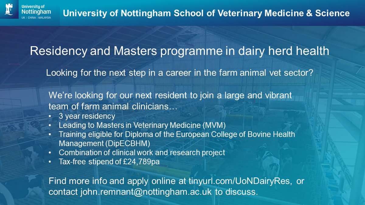 We're looking for a resident in dairy herd health to join our team... check out tinyurl.com/UoNDairyRes for details (or DM us!)
