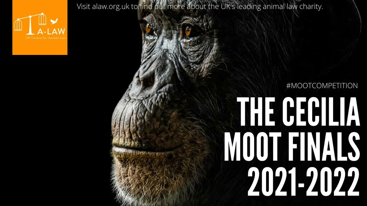 Join us this Sunday for a live broadcast of our Cecilia Moot 2021-2022 finals!

We are thrilled to share that Trevor Cooper, of Cooper &amp; Co. Solicitors, will present during the moot on the important work he does for dogs! 

Register your place here: buff.ly/3IUeRpg