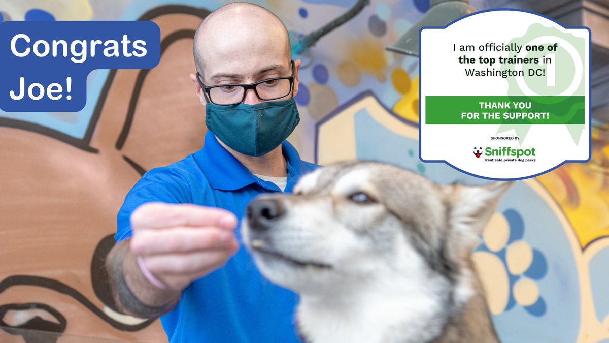PatricksPetCare's tweet photo. Go, go, go Joe! We're proud of Joe, our General Manager of Enrichment and Training, for being named to the Washington, DC @sniffspot Top Dog Trainer List for 2022! This is a list of the top positive reinforcement dog trainers in DC. Over 45,000 votes were cast! https://t.co/VLleajmJeY