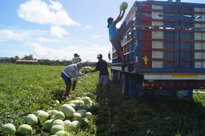 En Nicaragua 🇳🇮 la economía crece, y la recuperación económica es un hecho, según el banco Central de Nicaragua en el mes de Enero las exportaciones crecieron un 33% respecto al mismo mes del año pasado. 
Los rubros líderes son: Agropecuario, Manufactura y Mineria.