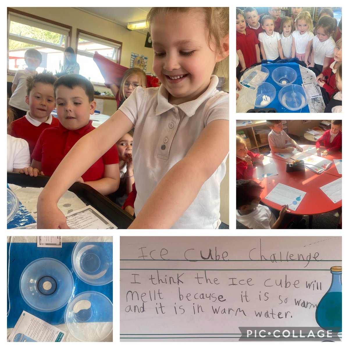 We finished our learning project all about Antarctica last week with a very exciting experiment. We had lots of fantastic prediction, but nobody managed to guess the result. 🧪 🧊