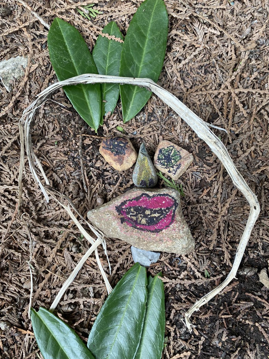 Faces in the forest creation and discovery by #lionsbayschool