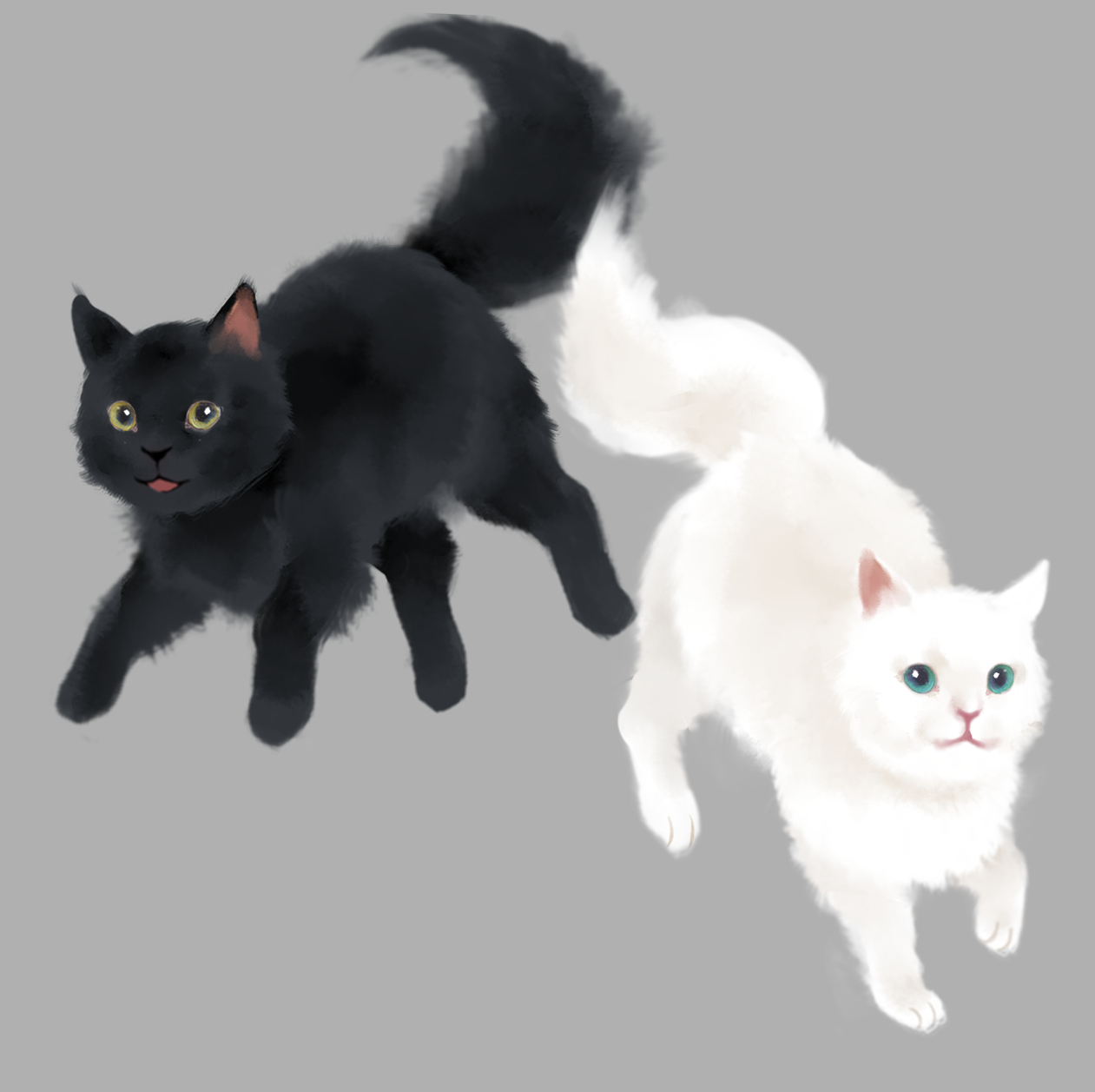 白虎 イラストレーター Kuusougurashi Twitter