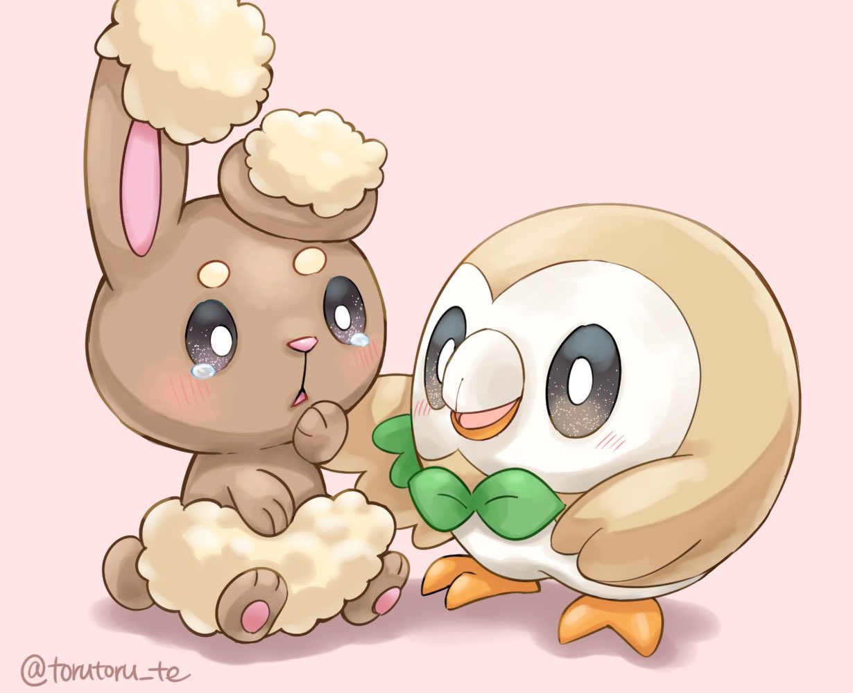 とるて 泣かないで ポケモンイラスト モクロー ミミロル T Co Brgmdapbmn Twitter とるて 泣かないで ポケモンイラスト モクロー ミミロル T Co Brgmdapbmn Twitter