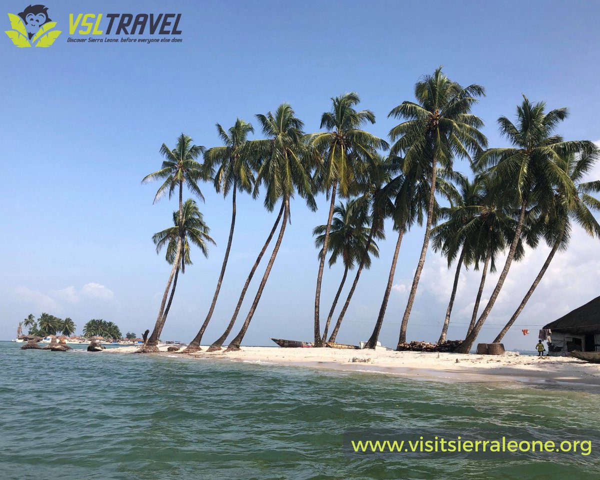 VisitSL's tweet photo. The Turtle Islands make up 8 islands in the southern province of Sierra Leone. 7 of the 8 are inhabited with beautiful white sand beaches. 

It is believed that the island was named because it houses a lot of Turtles.

 #vsltravel #sierraleone #turtleislands #salonetwitter https://t.co/gBUlYfXd3n
