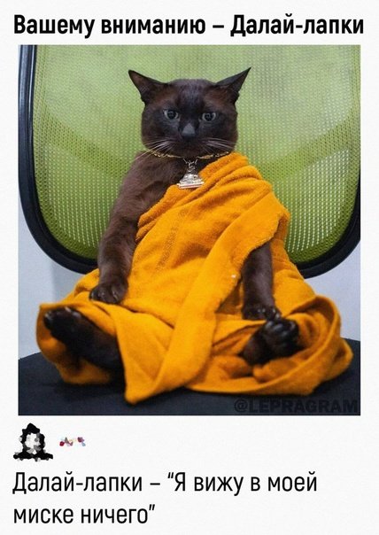 Принесли прекрасное