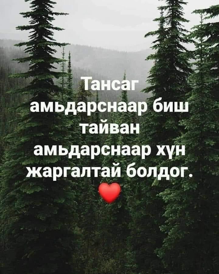 Ингэж нэг сайхан сургааль уншиж алжаалах цаг гарах гэж хэхэ
Ном унших зав гарахгүй амьдрах ч бас утгагүй еээ 
За яахав орондоо орж уншингаа амрахаас