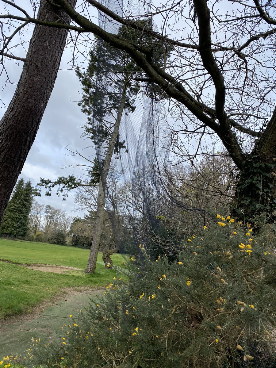 Concrete_land's tweet photo. Nets at Coombe Wood Golf Course haven’t lasted the Winter, full of holes and lashed together with cable ties, making them even more treacherous for wildlife https://t.co/fSloIeLTTf