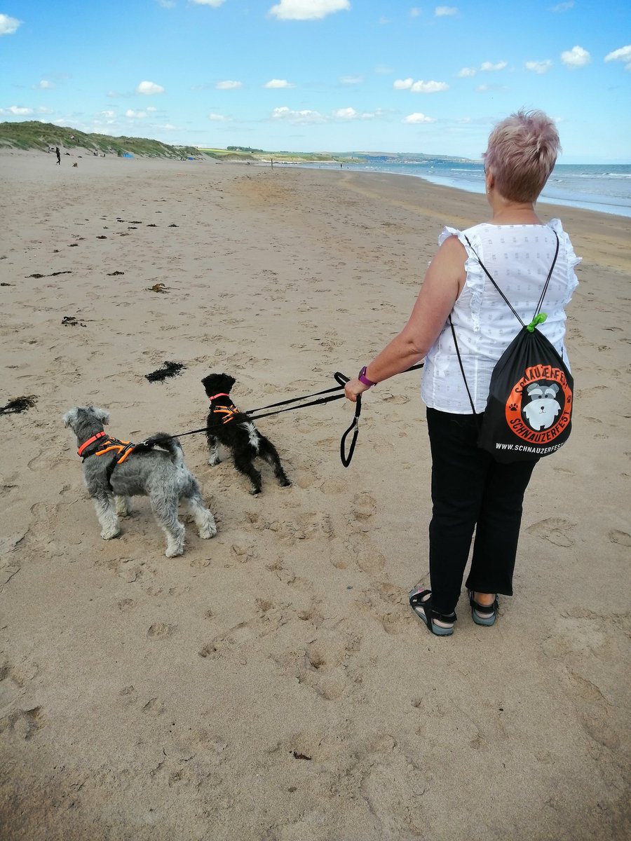 tiggerbeam's tweet photo. @StanPic25845029 I ask those who love the sea to join the challenge of posting a picture of a beach. Just a pic, no description. The goal is to flood Twitter with positive photos instead of negativity. Please copy the text, put a picture up and look at some beautiful pictures. Wuff! https://t.co/YHP5ZpUNcJ