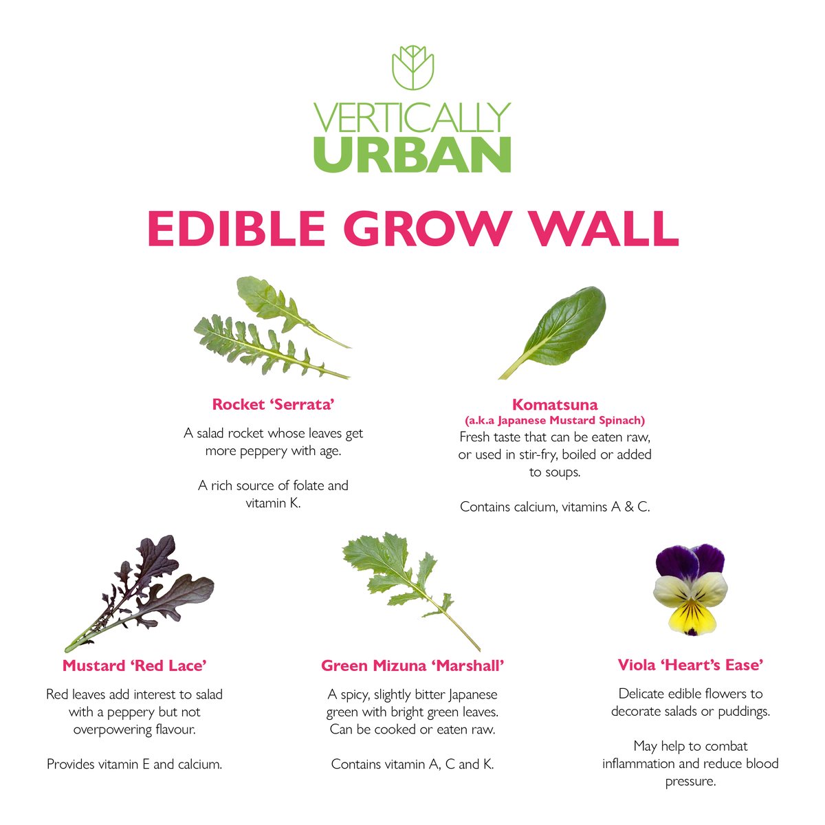 Just shy of 1 week later, the grow wall is filled out and ready to start harvesting from! 😊

There are currently 5 varieties to pick from, including some lovely viola flowers that make a great addition to salads and desserts. 🌿🌼

#caringcompany #ledgrowlights #salads