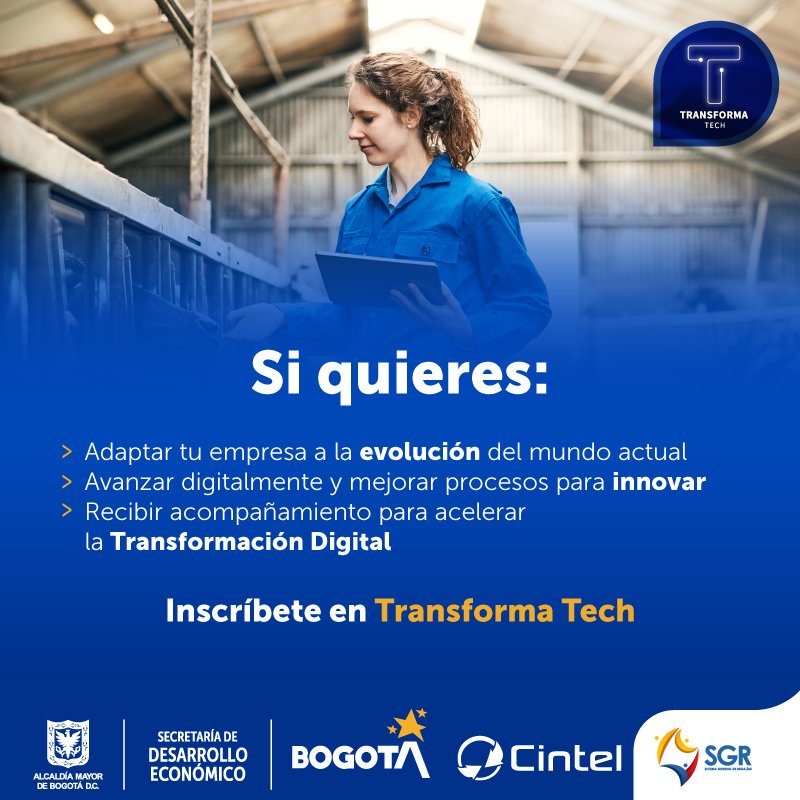 DesarrolloBta's tweet photo. Lleva tu empresa a otro nivel e inscríbete a #TransformaTech. Avanza en la transformación digital de tu negocio y recibe acompañamiento de expertos durante cinco meses, sin costo.
¡Hoy, cierre de convocatoria!
Postúlate 👉🏻 https://t.co/HTP402hJeI https://t.co/z1yGojfzNd