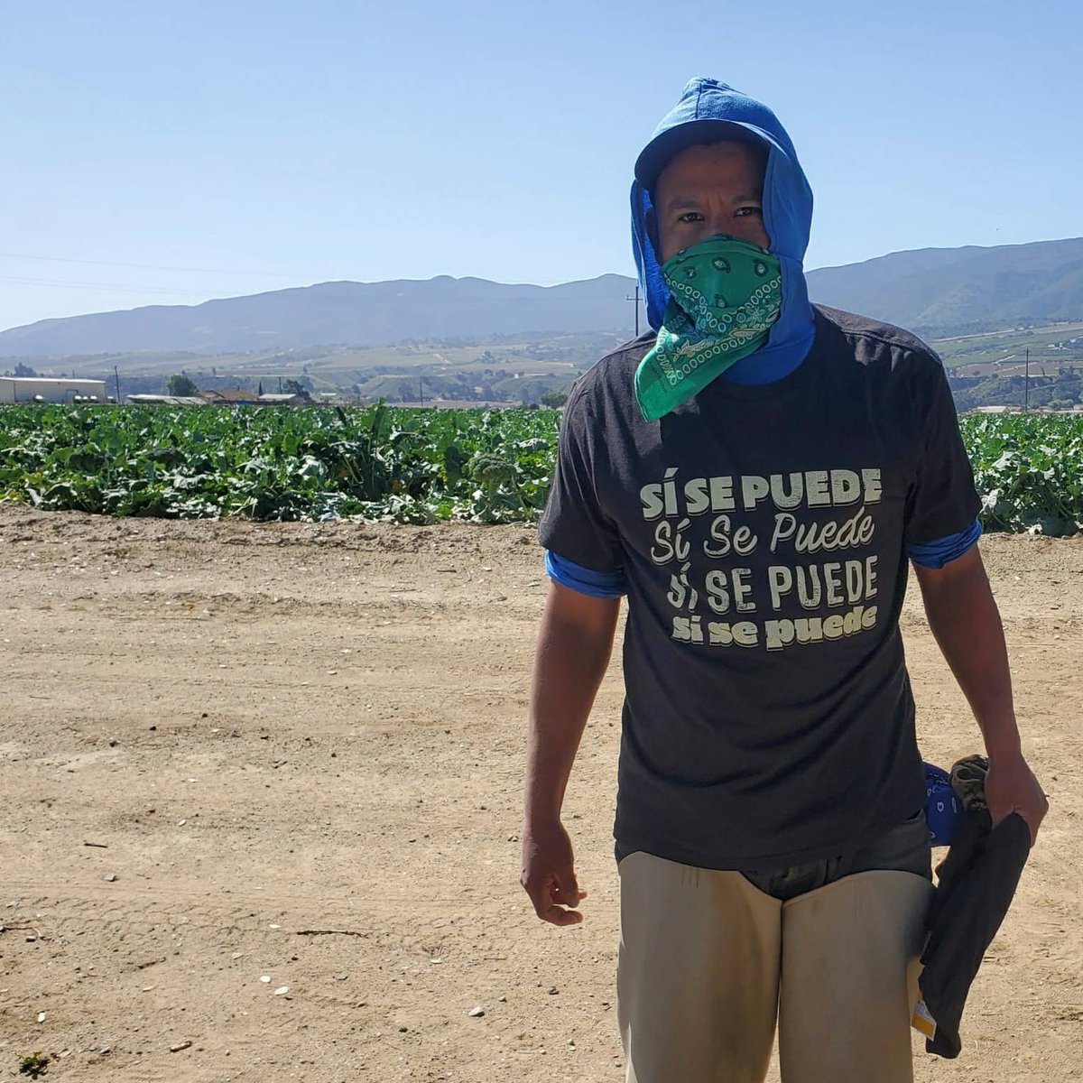 Humberto's been working in the broccoli in the Salinas CA under a UFW contract for 12 years. He says: Thanks to Cesar Chavez farmworkers are protected.  Under a Union contract we get many benefits including a paid holiday for #CesarChavezDay. I thank this great leader. #WeFeedYou