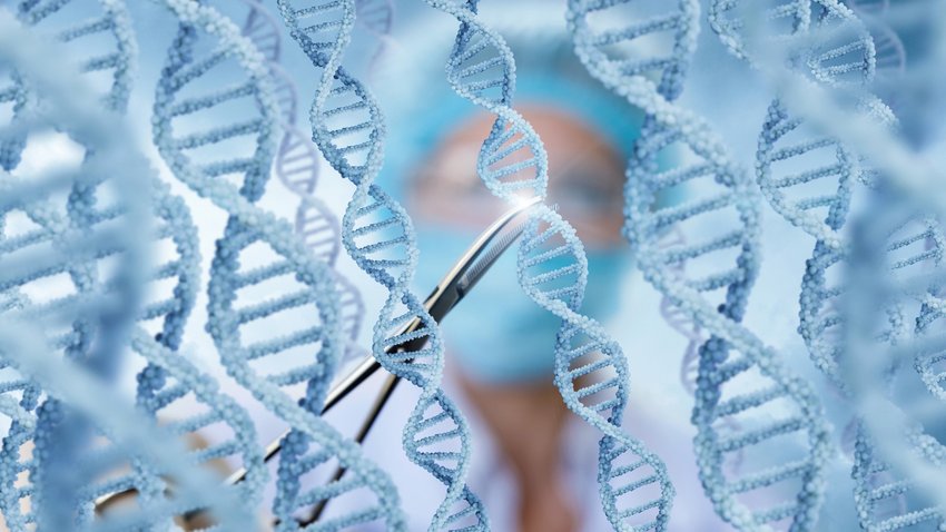 HaubenCraig's tweet image. .@US_FDA recently announced its new guidance on #GeneEditing. While many professionals don't find any of the advice surprising, it will prove beneficial for #biotech companies by providing them a baseline to aid them in avoiding delays. @FierceBiotech
fiercebiotech.com/biotech/fdas-g…