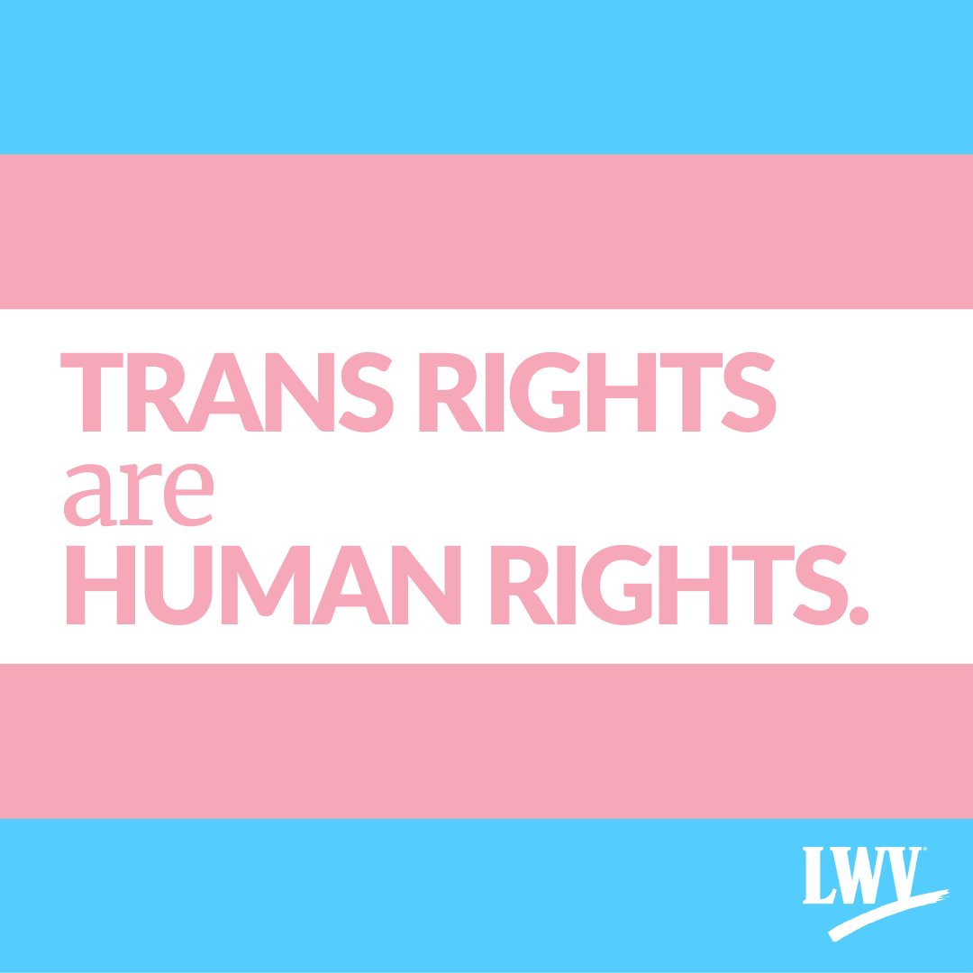 LWV of Florida tweet media