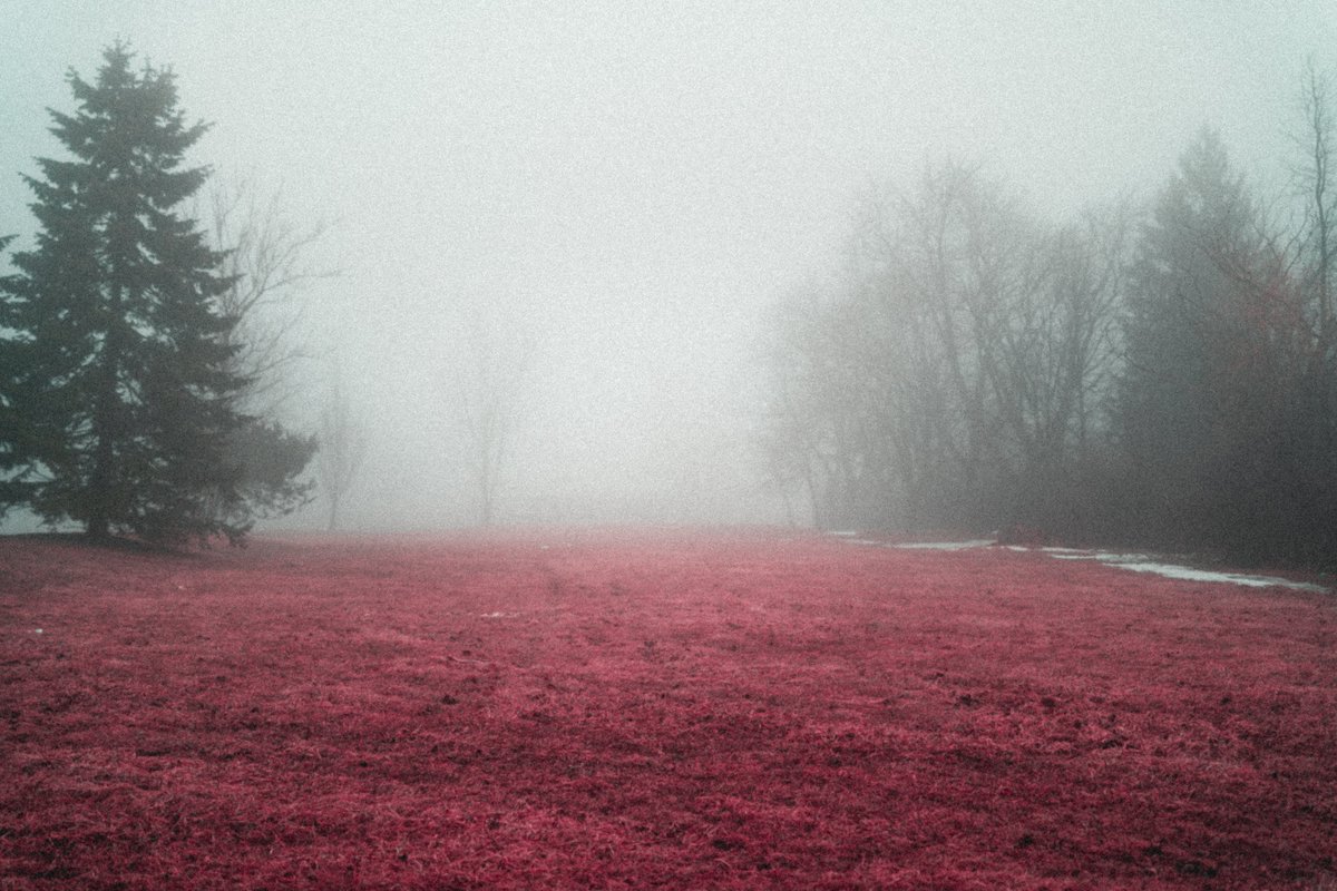 somewhere in wonderland