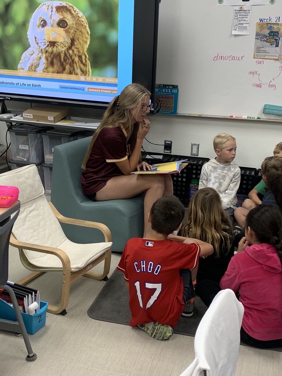 DS Softball tweet media