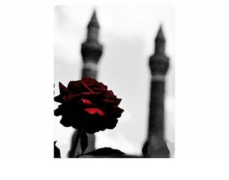 Allah’tan korkandan başka güvenilir kimse yoktur. Hz. Ömer