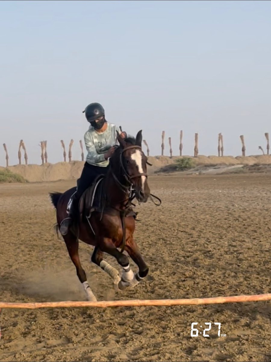 Raniabaloch5's tweet photo. Jumping 🏇 https://t.co/bCPMcQhZLM
