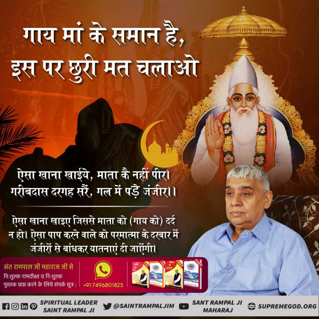 गाय माँ के समान है इसकी हत्या बंद करो...! <a href="/SaintRampalJiM/">Sant Rampal Ji Maharaj</a> 🌱