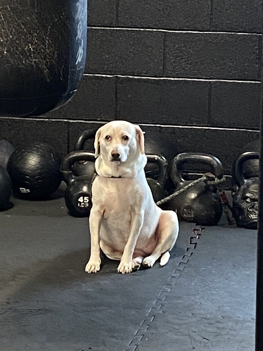 soupinthering's tweet image. we’re at the gym