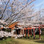 ツイートに含まれる画像