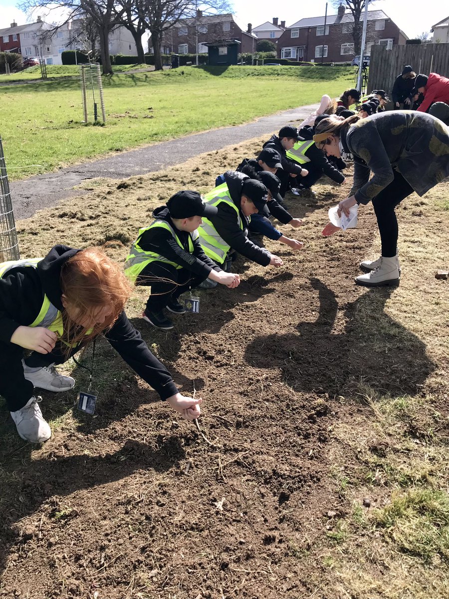 PlymouthVPC's tweet image. We did it @GreenMindsPlym 🙌🏼
 HUGE well done to the mini police @KeyhamBartonPly @FordPrimary @DrakePrimary for a brilliant social action day inNorthdown Park. Cannot wait to see your wildflower meadow seeds grow into beautiful flowers for your community to enjoy 🌸@KCPTPlymouth