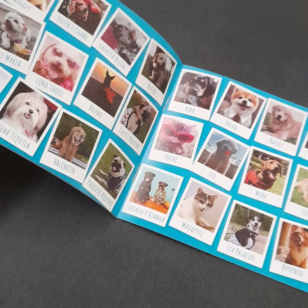 Revista Petmi renovada!! Temas super utiles para el cuidado responsable de los peluditos, lugares petfriendly, amigos peludos y mas!!!