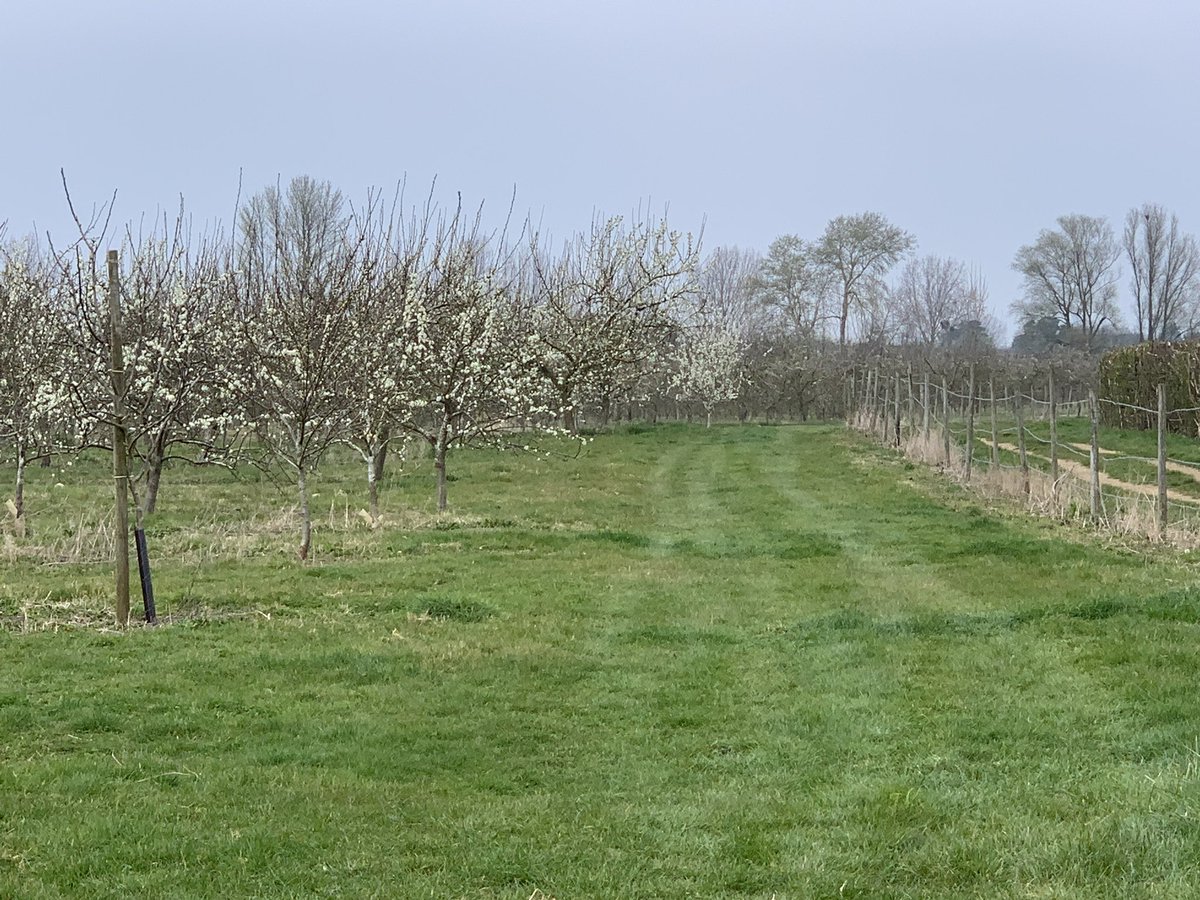 Bushelbox's tweet image. Work view today is lovely