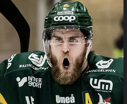 jedvard86's tweet photo. Jag vill se konungens återkomst nu i OT #wiklund #kung #björklöven https://t.co/JZvEBZu345