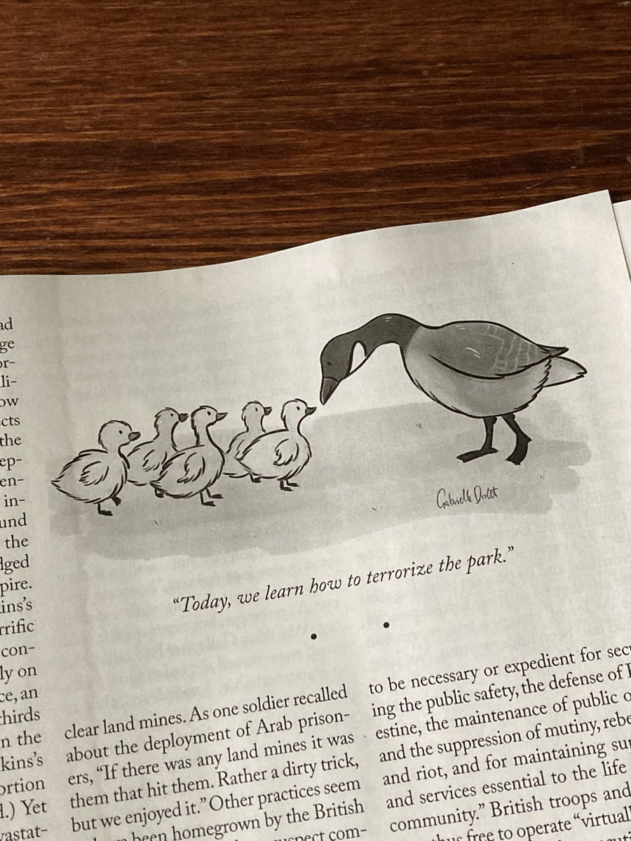 Gabrielle Drolet tweet media