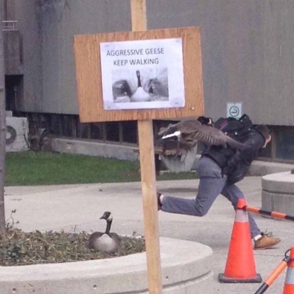 Gabrielle Drolet tweet media