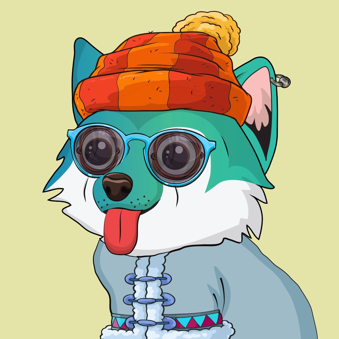 SPaez089's tweet photo. Just got my second @solpuppypound , this time joined the husky gang! Bullish on their team and community https://t.co/56VxWPjduR
