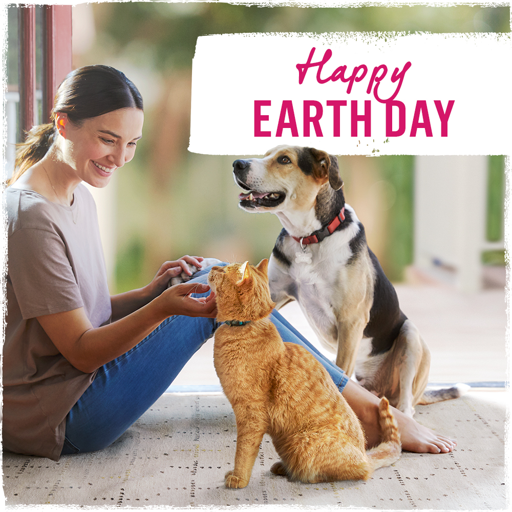 In honor of Earth Day, we’ve rounded up some simple, meaningful ways to practice sustainability with our pets! Check out our website for tips on how to recycle pet food packaging, choose responsibly sourced pet food options, and more: purinabitly.uspurina.acsitefactory.com/beyondsustaina…