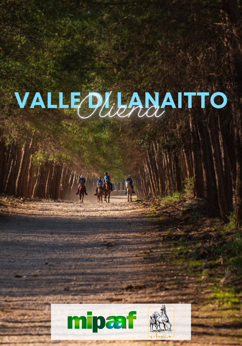 ComuneOliena's tweet photo. Ritorna l'Endurance Equestre nella Valle di Lanaitho. 
Questa voltà l'appuntamento è nazionale! https://t.co/v0Xvc5kMUE
#Oliena #visitoliena https://t.co/VR8biagK9r