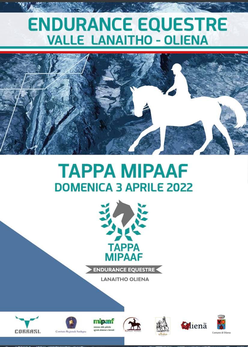 ComuneOliena's tweet photo. Ritorna l'Endurance Equestre nella Valle di Lanaitho. 
Questa voltà l'appuntamento è nazionale! https://t.co/v0Xvc5kMUE
#Oliena #visitoliena https://t.co/VR8biagK9r