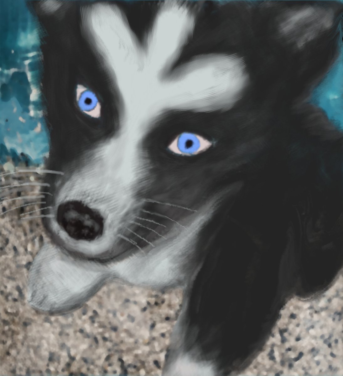 My daughter asks me every day if we can get a husky, knowing the answer will be no (because of another child's allergy to dogs) so I drew her one.